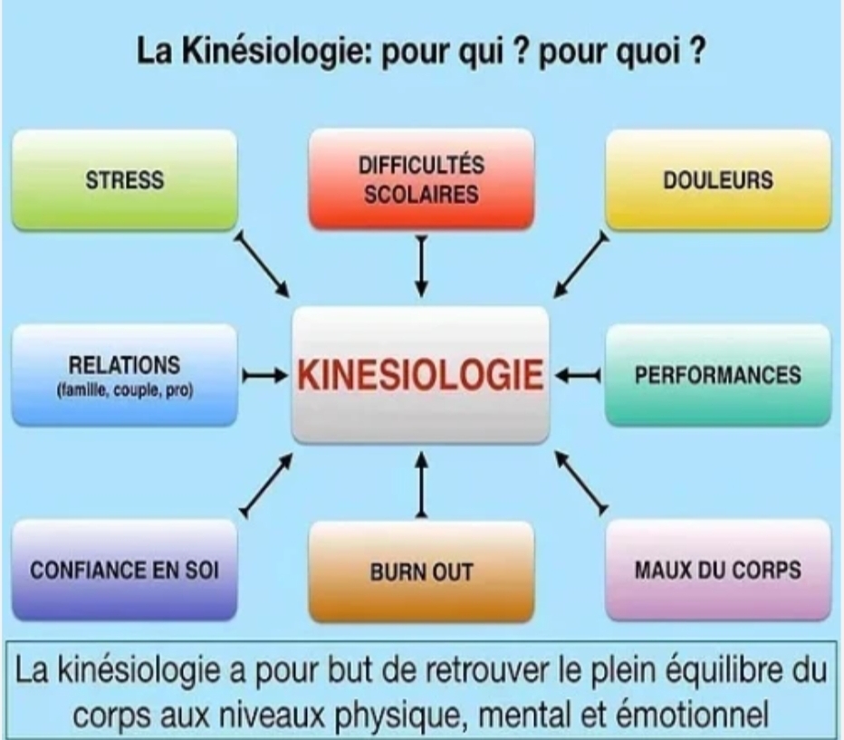 La kinésiologie pour qui et pour quoi — schéma